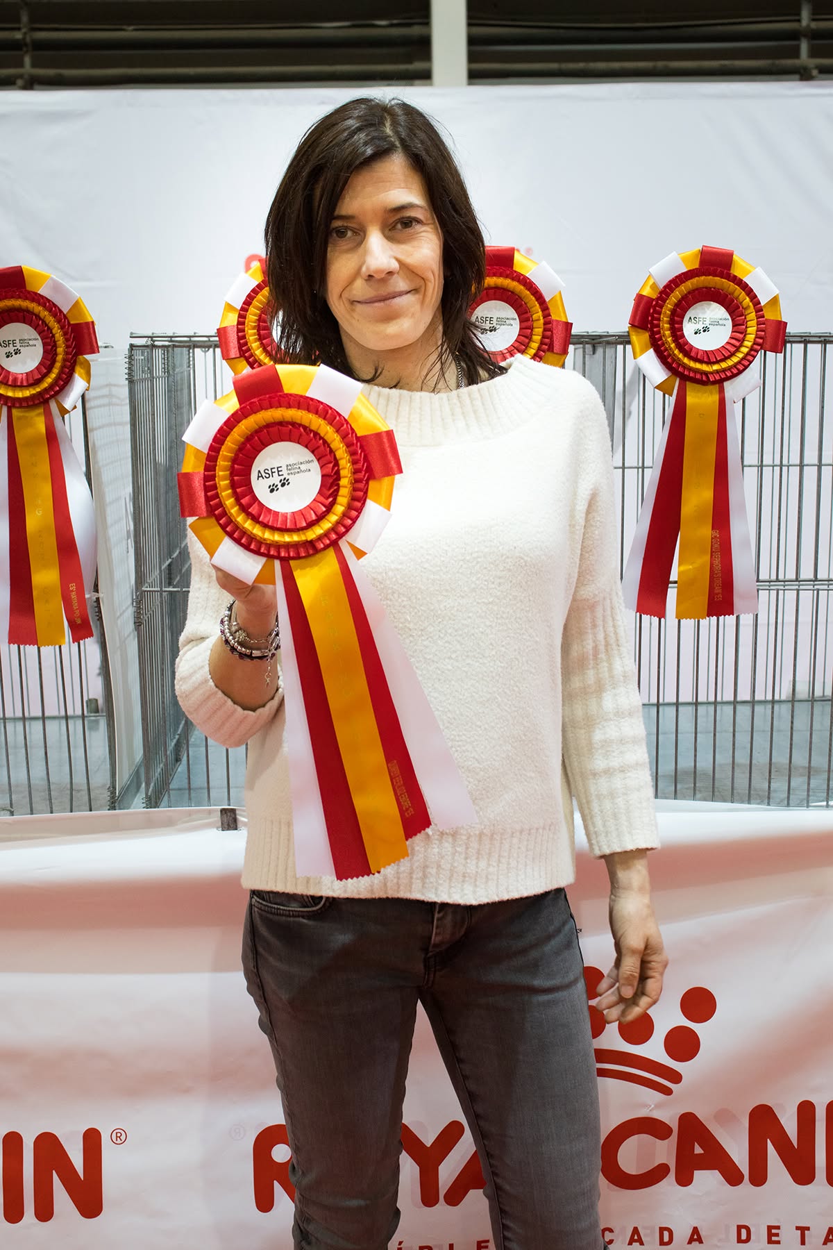 Veterinary check at a cat show