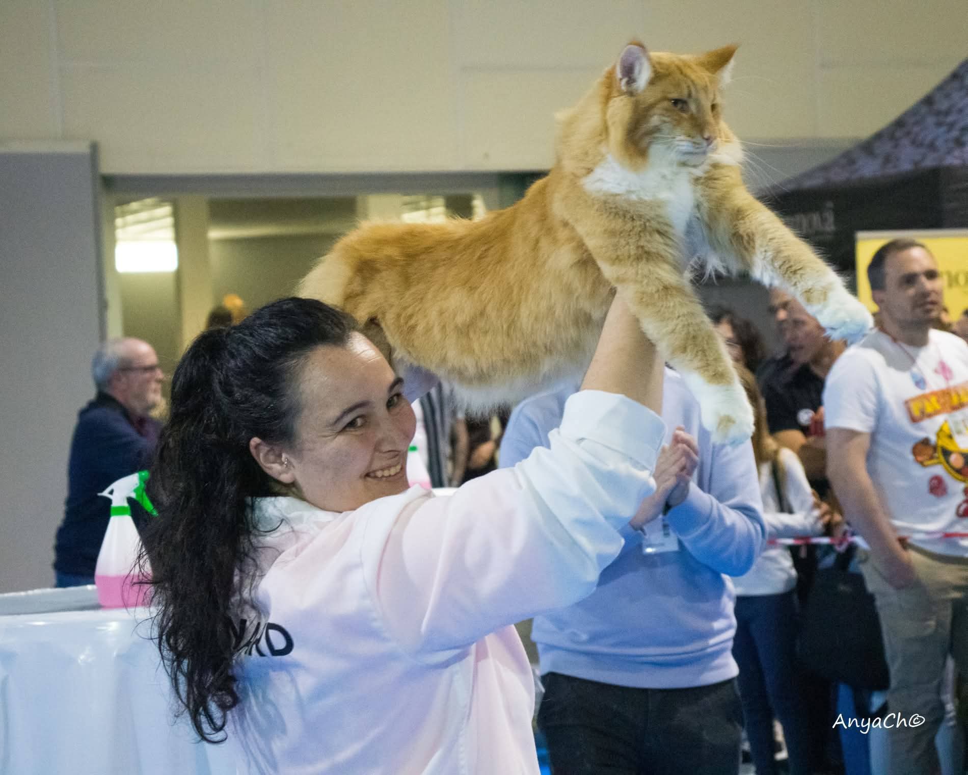 Sara Ruíz — Chief Steward